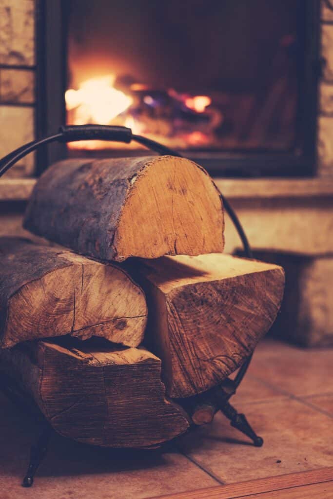 Firewood and burning fireplace at home